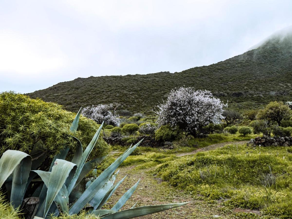 Luxury Villa In Nature With Swimming Pool Tenerife, Santiago Del Teide, With Sea And Mountain Views El Retamar Luaran gambar