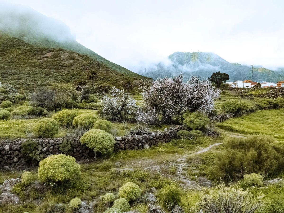 Luxury Villa In Nature With Swimming Pool Tenerife, Santiago Del Teide, With Sea And Mountain Views El Retamar Luaran gambar